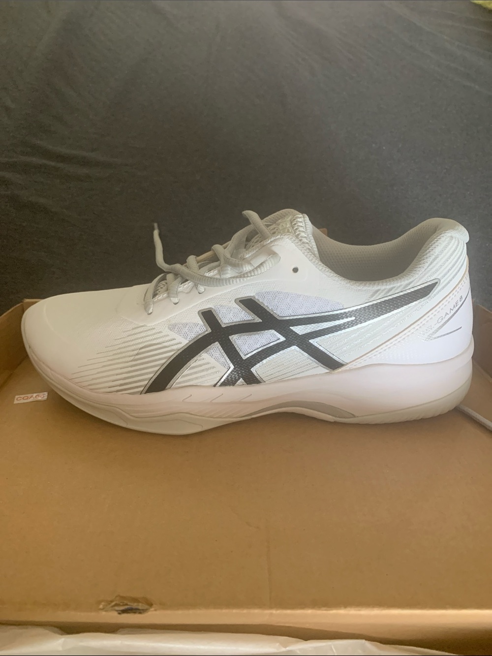 Asics Men’s White Athletic Shoes with Gray Stripes